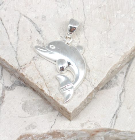 A photo of the The Diving Dolphin Pendant product