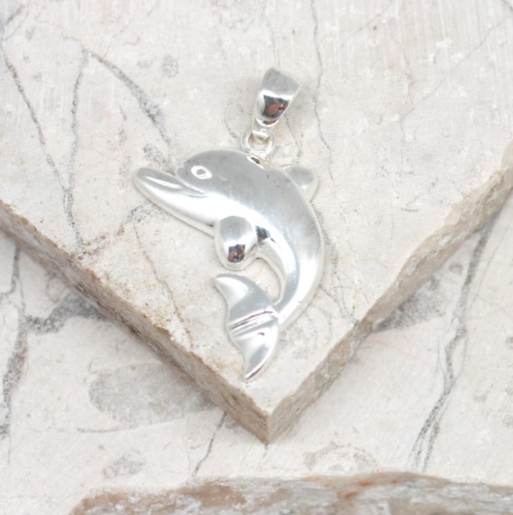 A photo of the The Diving Dolphin Pendant product