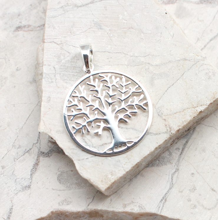 A photo of the The Grow Together Pendant product