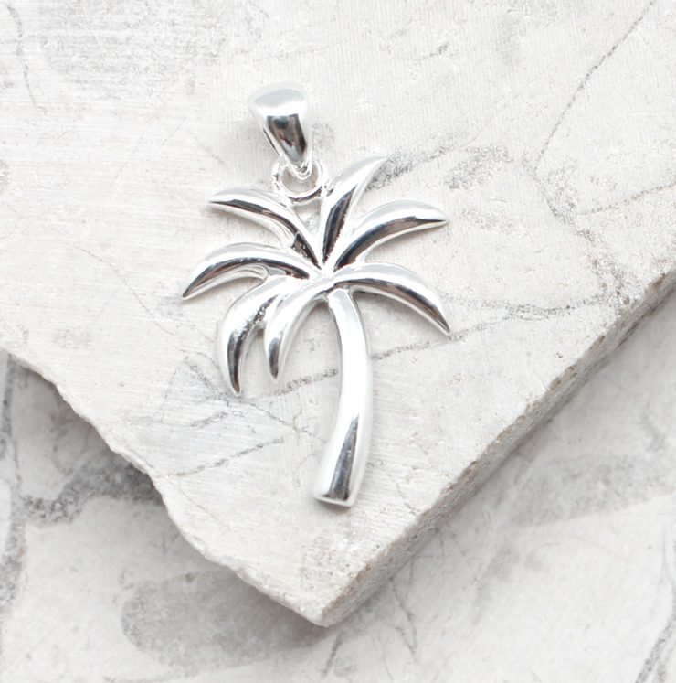 A photo of the The Plain Palm Pendant product
