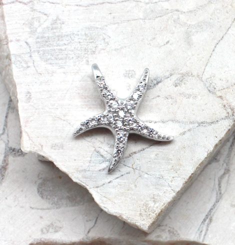 A photo of the The Sunny Sea Star Pendant product