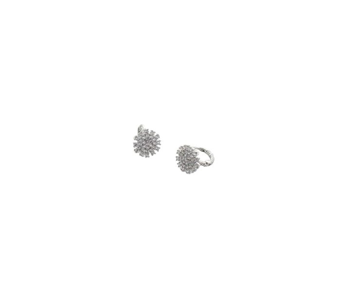 A photo of the Sterling Silver Earrings product