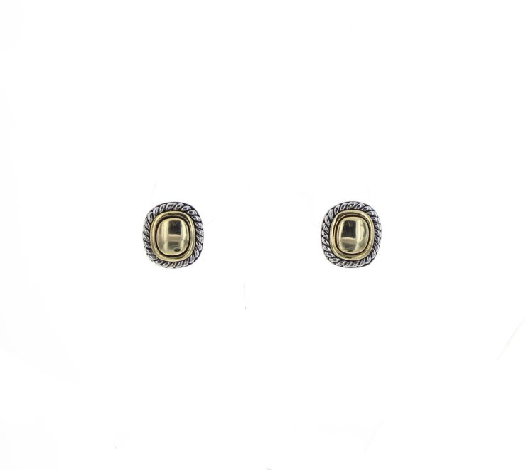 A photo of the Silver & Gold Earrings product