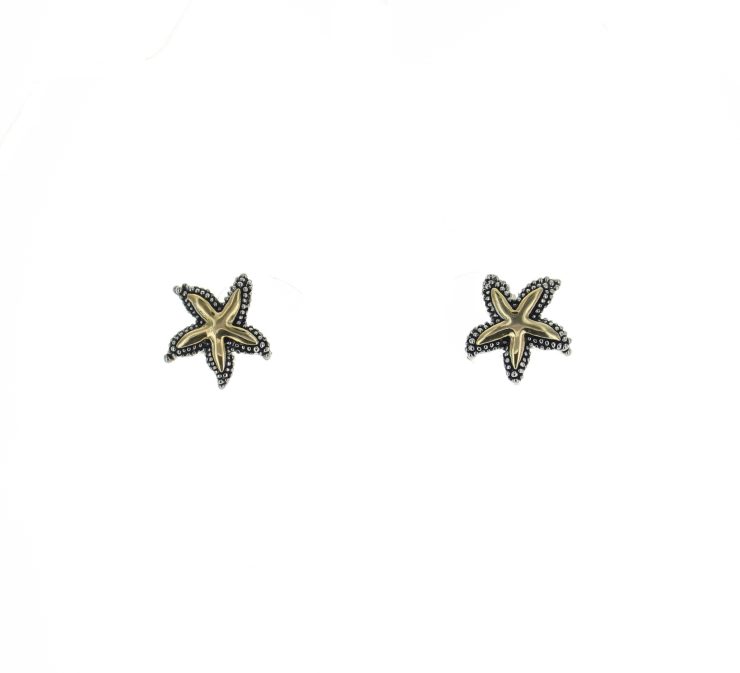 A photo of the Two Tone Starfish Earrings product