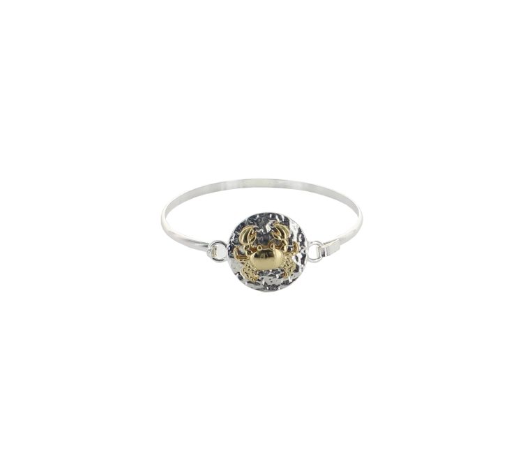 A photo of the Gold Royal Coin Necklace product