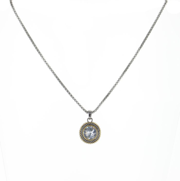 A photo of the Round Gem Necklace product