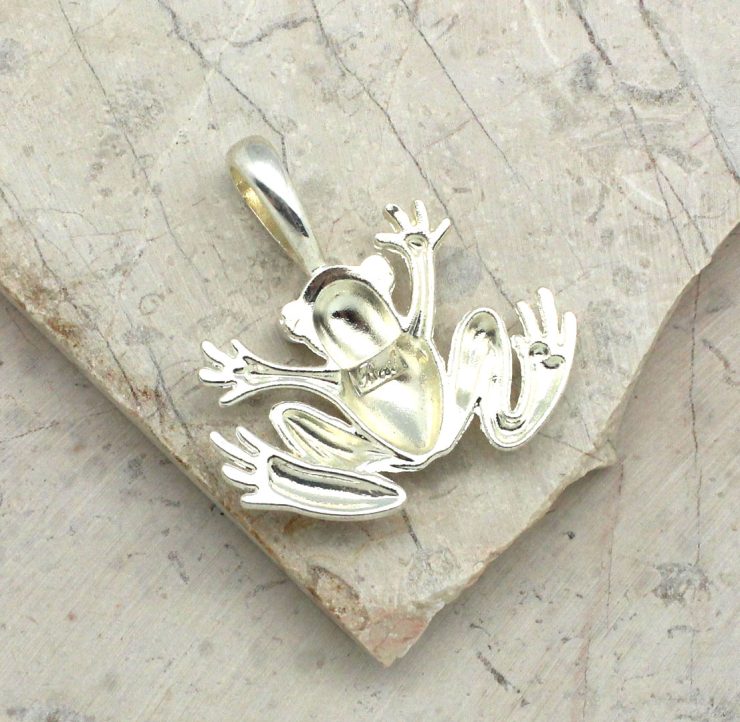 A photo of the Friendly Frog Pendant product