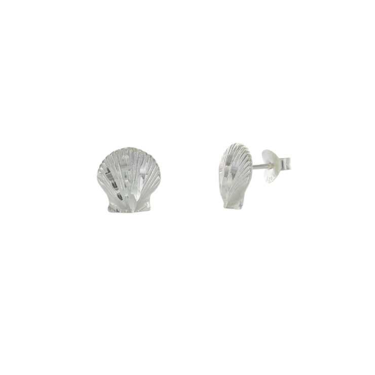 A photo of the Shinny Scallop Earrings product