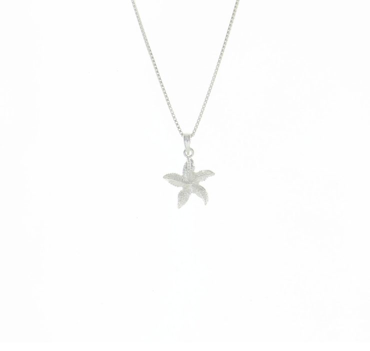 A photo of the Sugar Starfish Pendant product