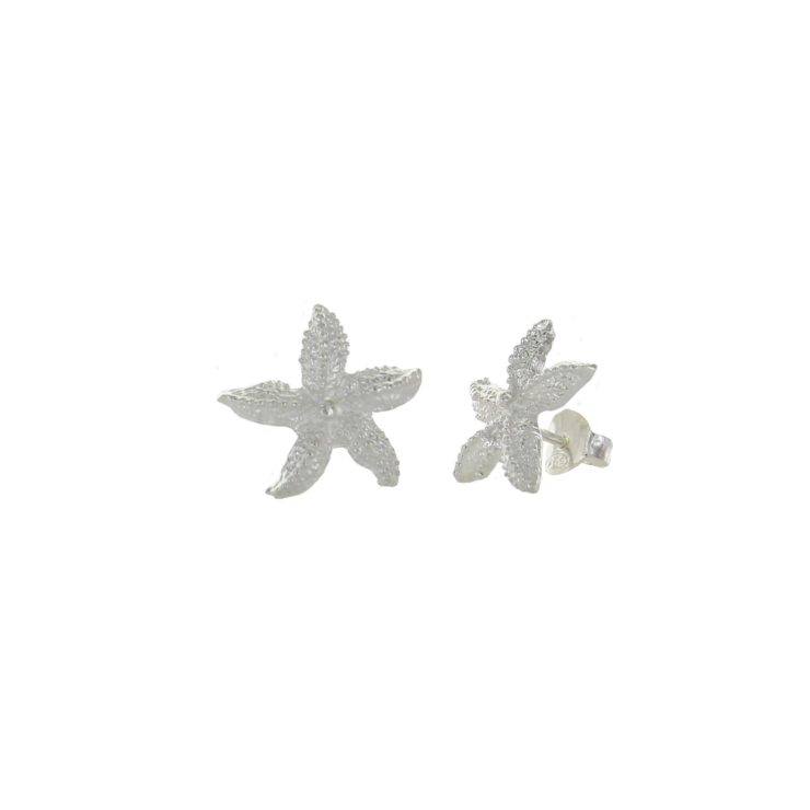 A photo of the Sugar Starfish Studs product