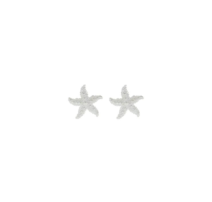 A photo of the Tide Chaser Starfish Earrings product