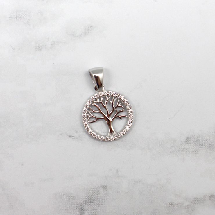 A photo of the To The Roots Pendant product