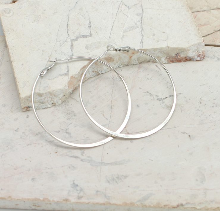 A photo of the Prim and Polished Hoop Earrings product