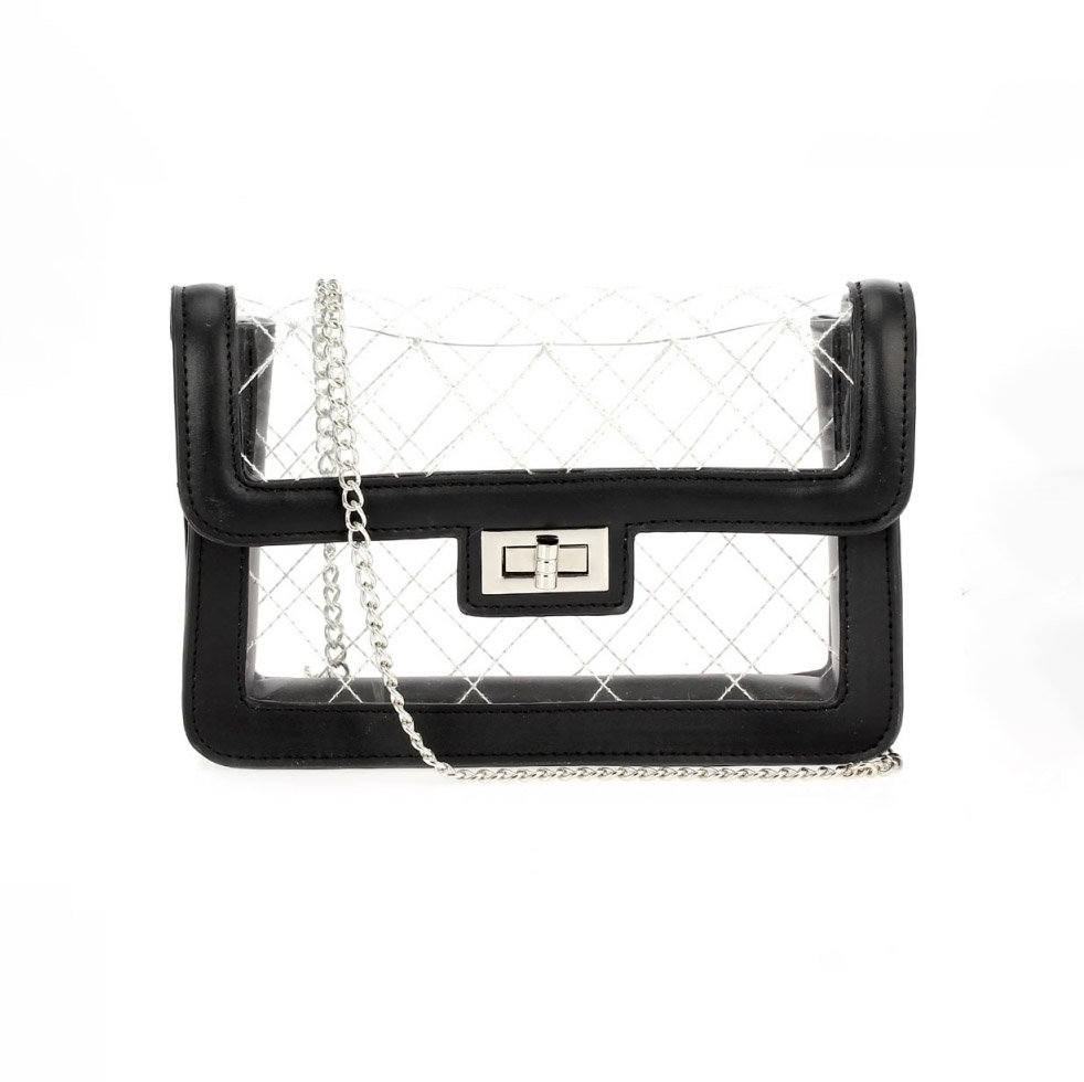 Transparent Beauty Handbag - Best of Everything | Online Shopping