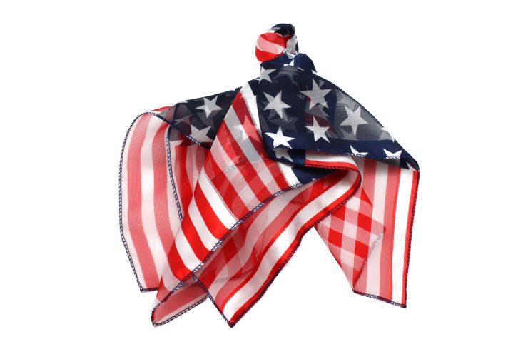 A photo of the Checkered 4th Of July Scarf product