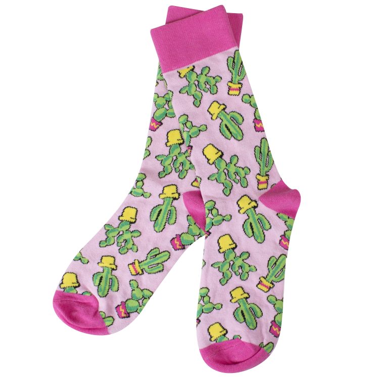 A photo of the Cactus Socks product