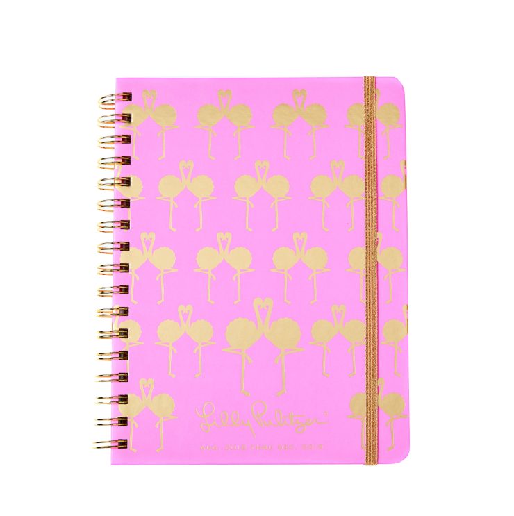 A photo of the 2018-2019 Monthly Planner In Sunset Flamingo product
