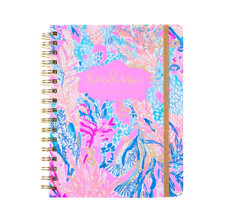 A photo of the Large Agenda In Pink Aquadeslac product
