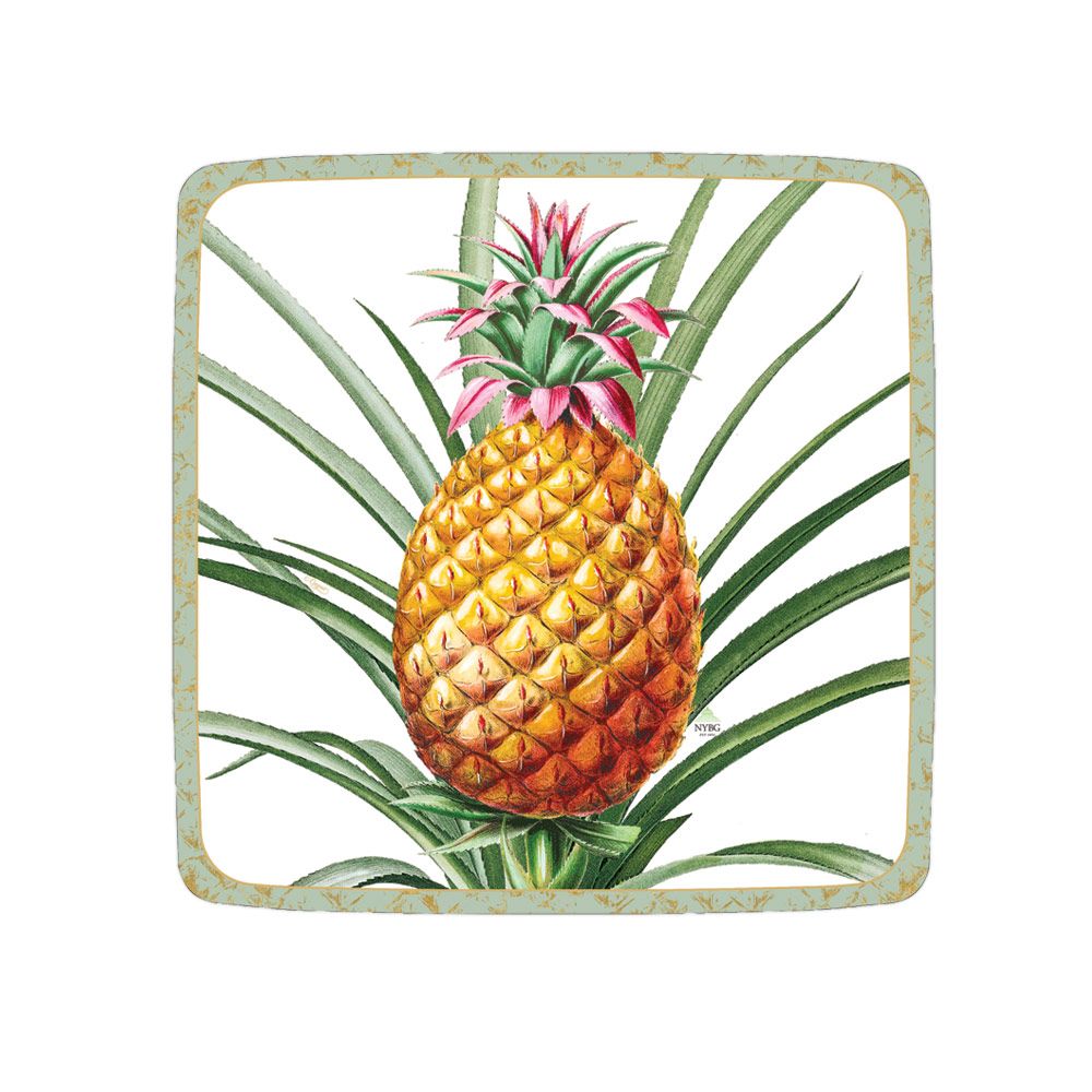 tropical paper plates