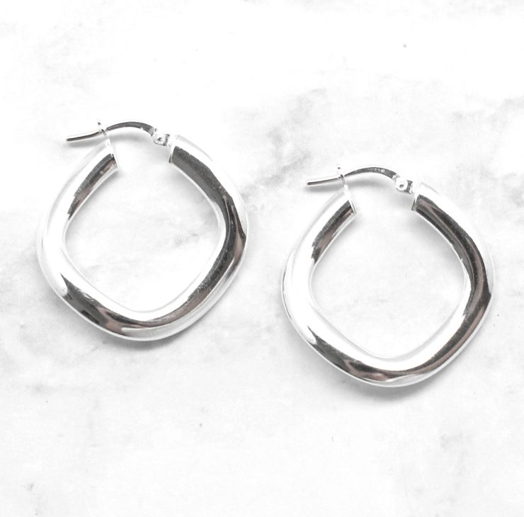 A photo of the The Arborvite Earrings product