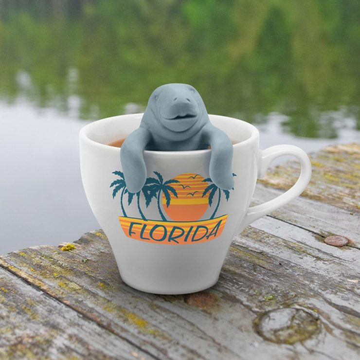 A photo of the Manatee Tee Infuser product