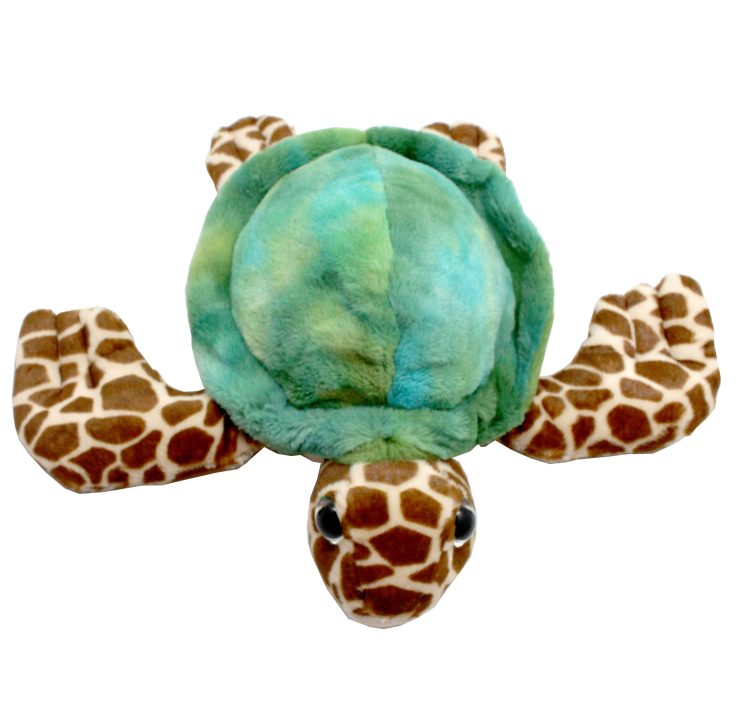 A photo of the Under The Sea Turtle product