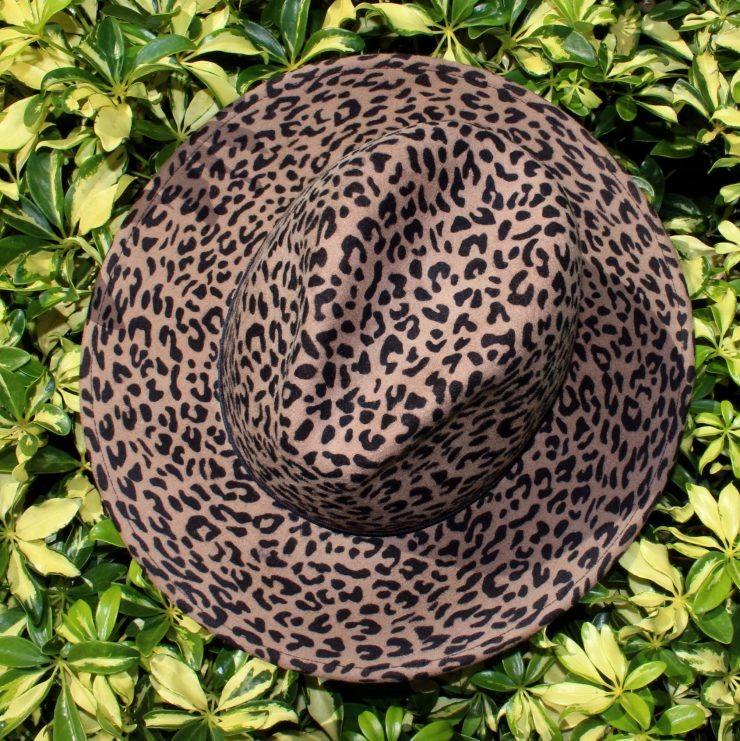 A photo of the Wild One Hat product