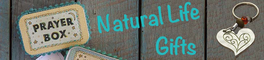 Category Header