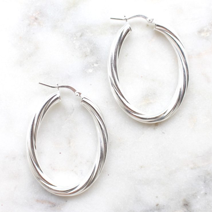 A photo of the Bologna Hoop Earrings product