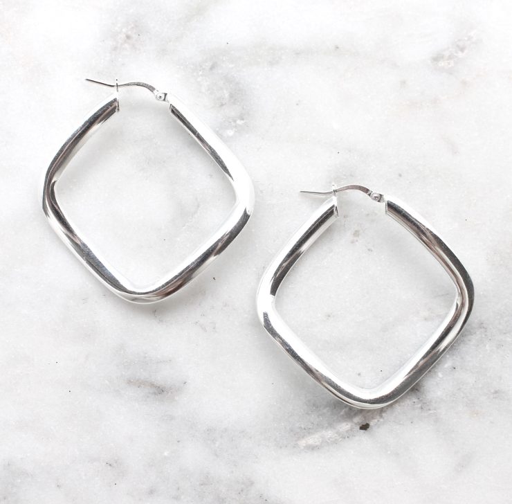 A photo of the Genoa Hoop Earrings product