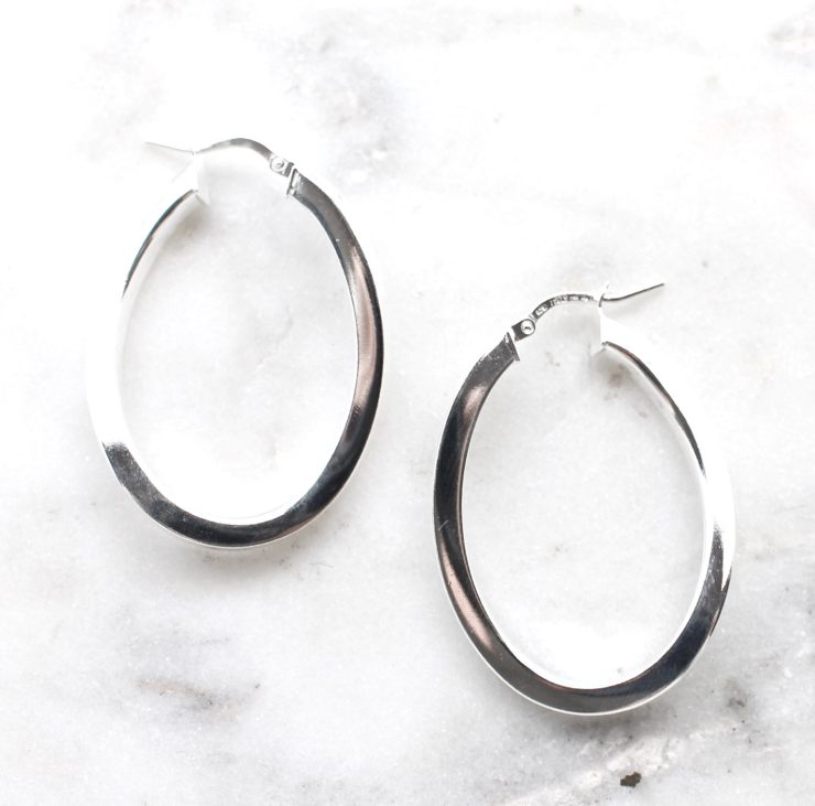 A photo of the Raguso Hoop Earrings product