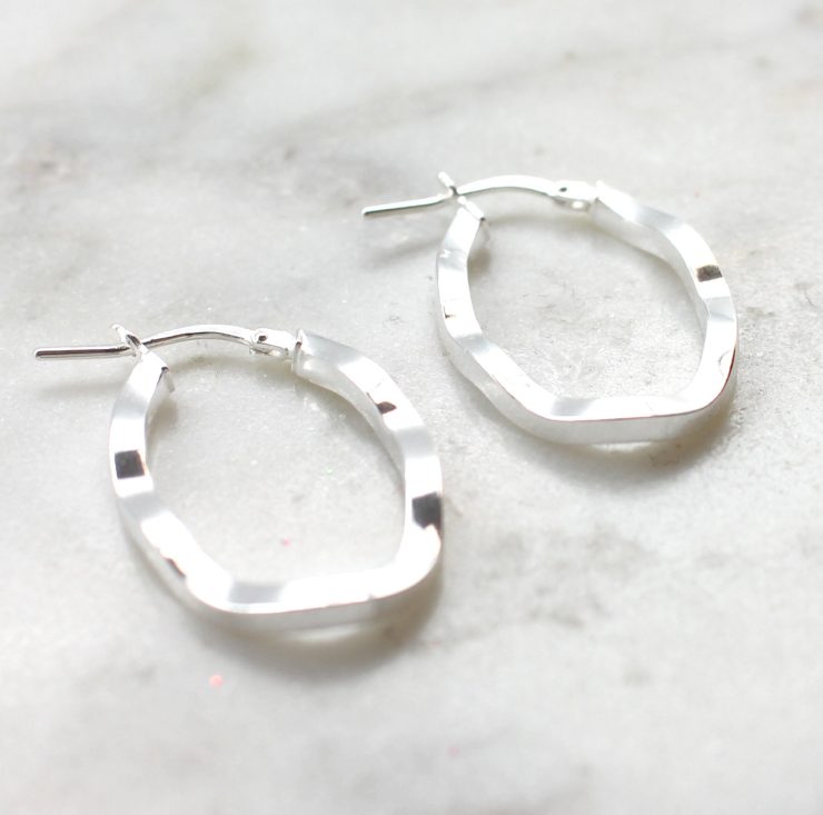 A photo of the Siena Hoop Earrings product