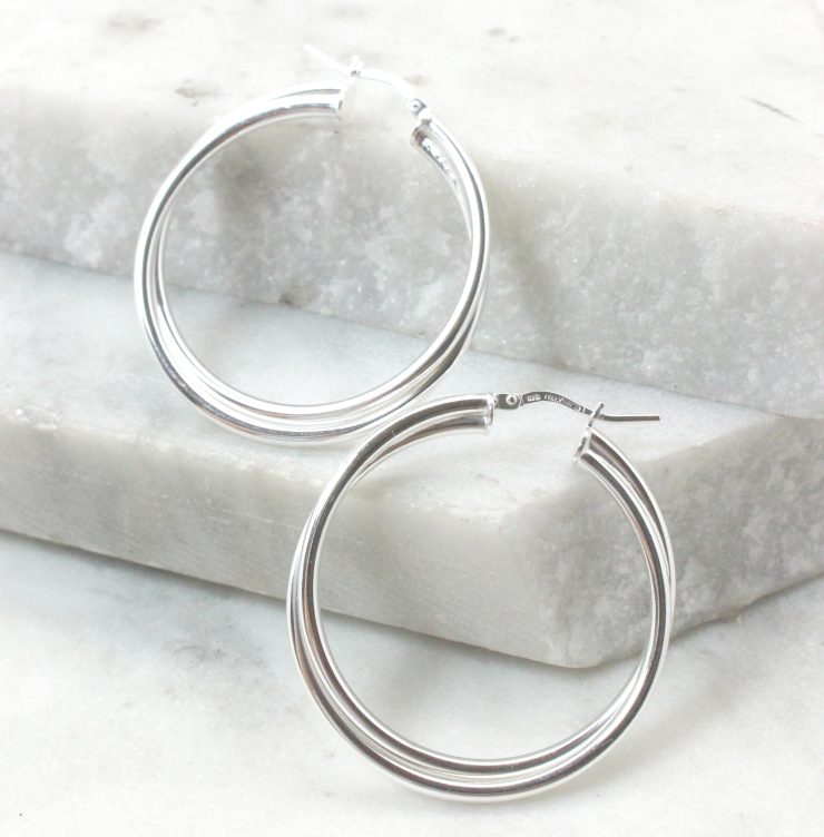 A photo of the Venice Hoop Earrings product