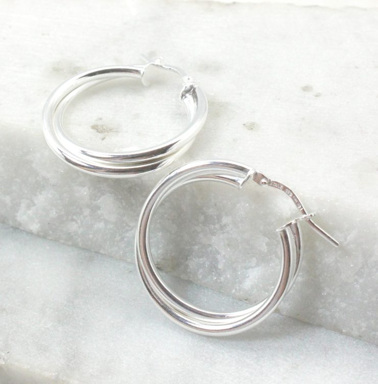 A photo of the Venice Hoop Earrings product