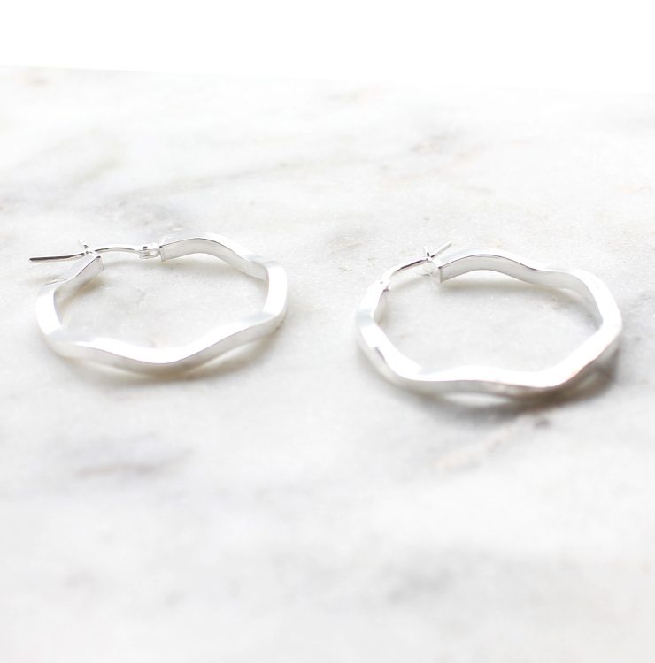 A photo of the Vicenza Hoop Earrings product