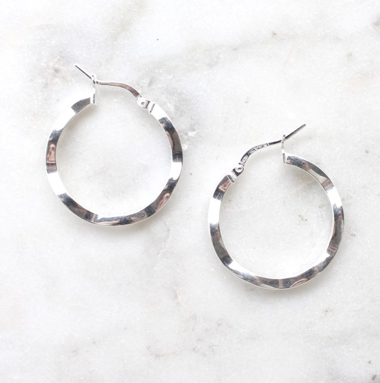 A photo of the Vicenza Hoop Earrings product