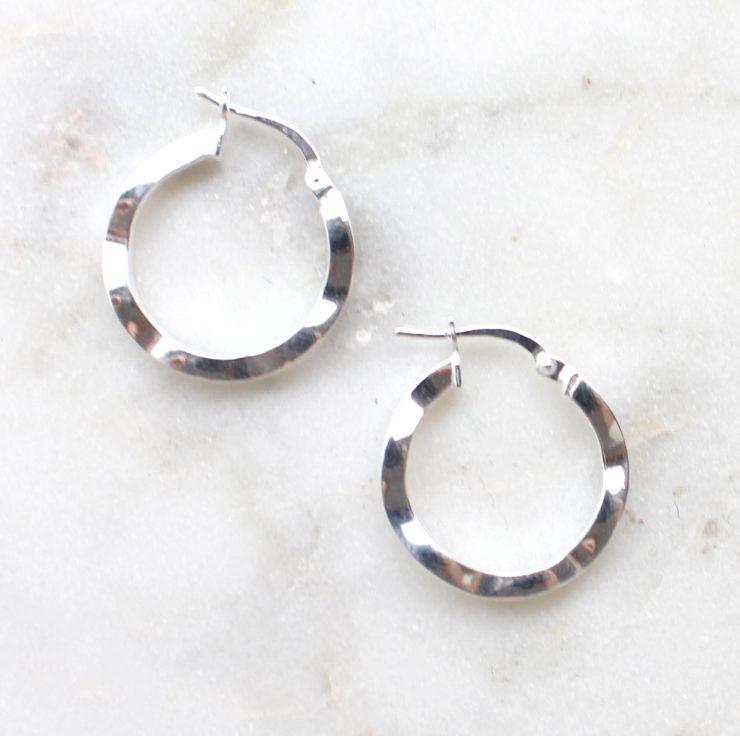 A photo of the Vicenza Hoop Earrings product