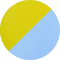 Yellow & Periwinkle