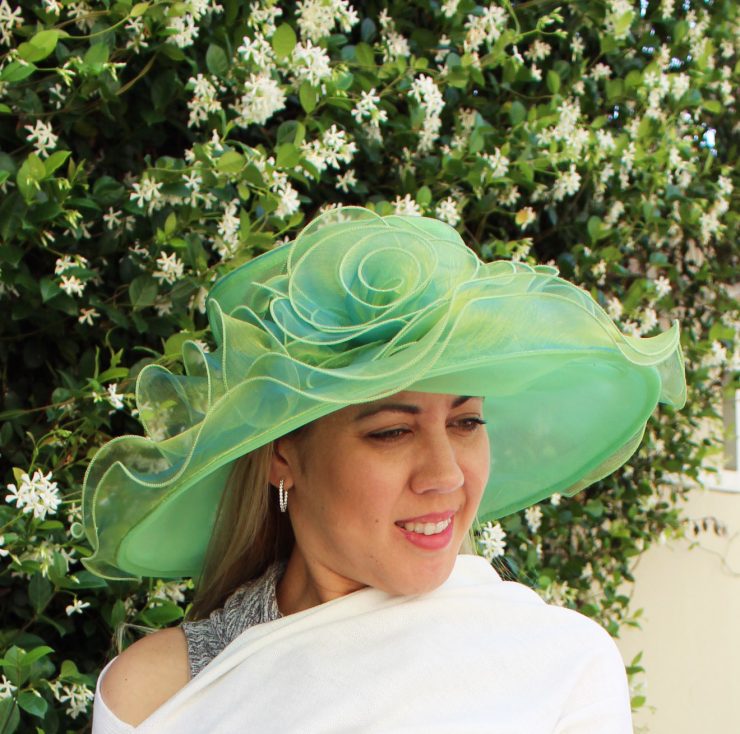 A photo of the It's All Roses Fascinator Hat product