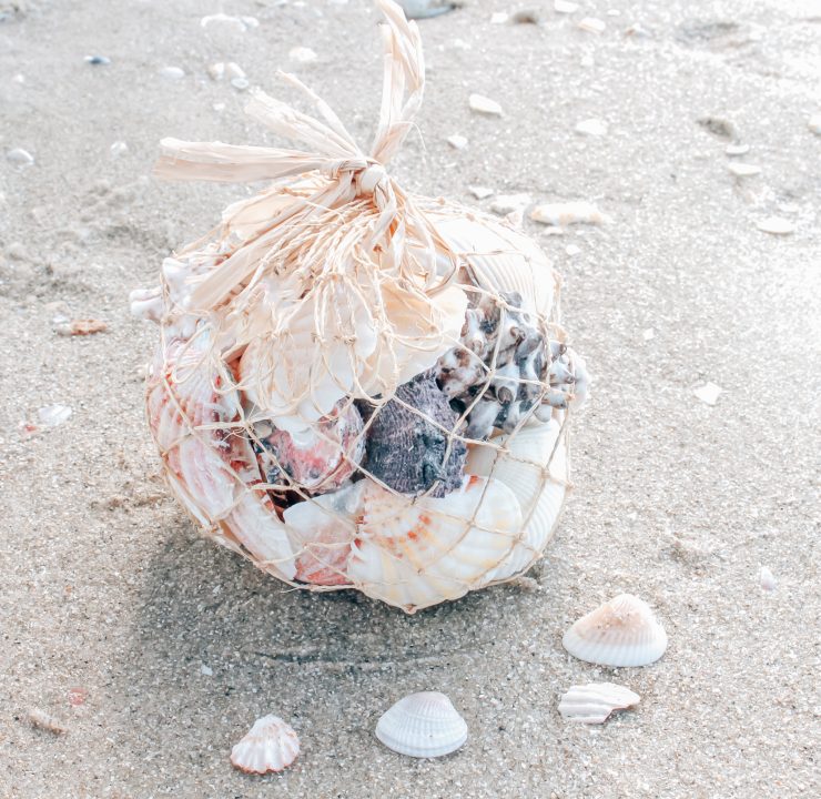 A photo of the Bag Of Shells product