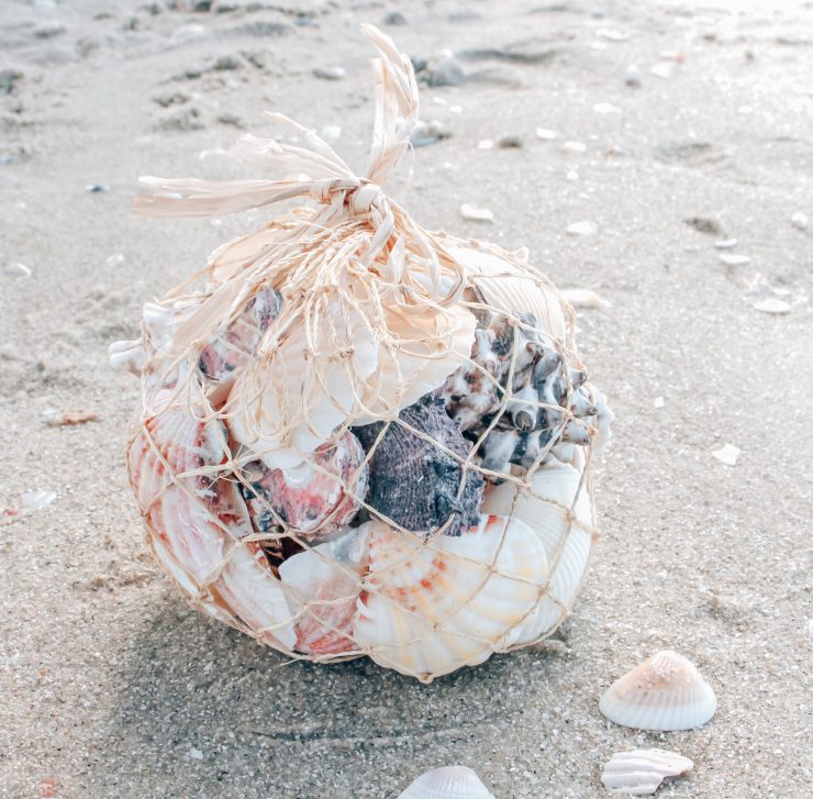 A photo of the Bag Of Shells product