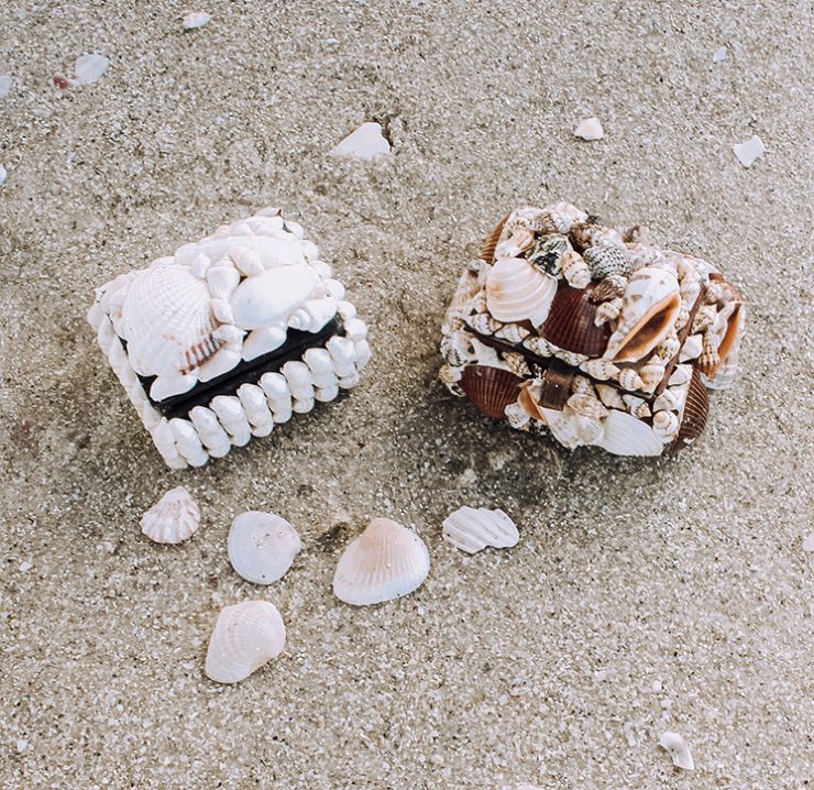 A photo of the Shell Treasure Box product