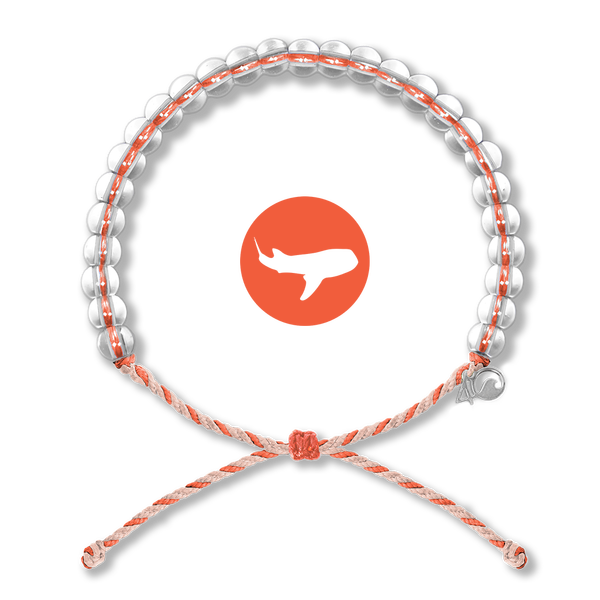 4Ocean Whale Shark Bracelet Best of Everything Online Shopping