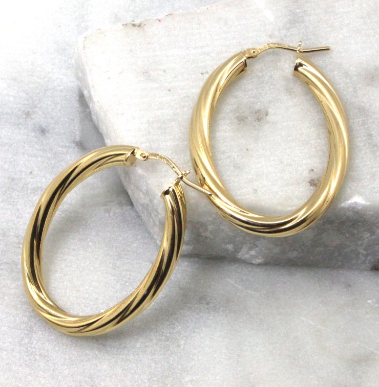 A photo of the Bologna Hoop Earrings in Gold product