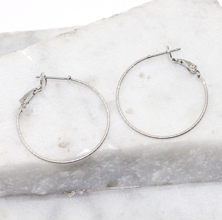 A photo of the Classic Hoop Earrings product