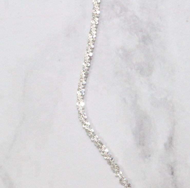 A photo of the Shiny Chain Anklet product