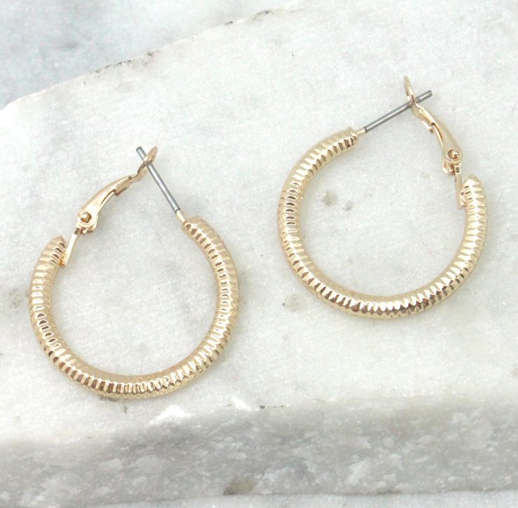 A photo of the Goldie Hoop Earrings product