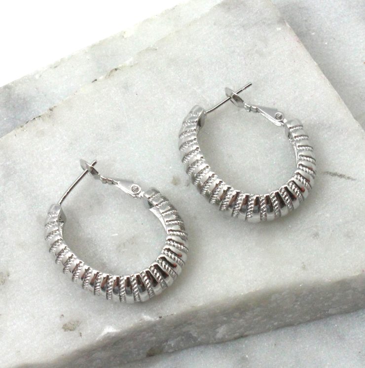 A photo of the Thick Textured Hoop Earrings product