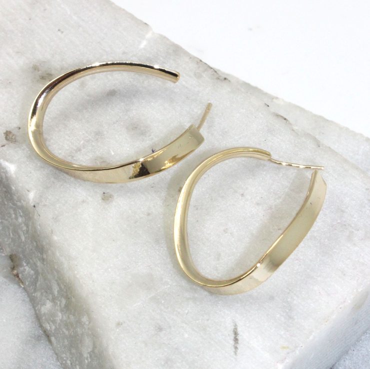 A photo of the Twist Hoop Earrings product