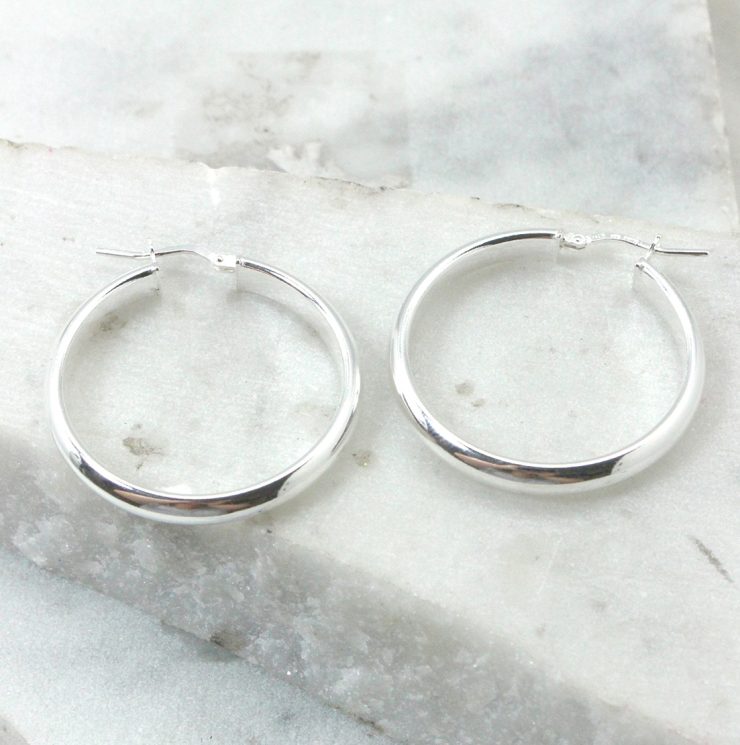 A photo of the Lucca Hoop Earrings product